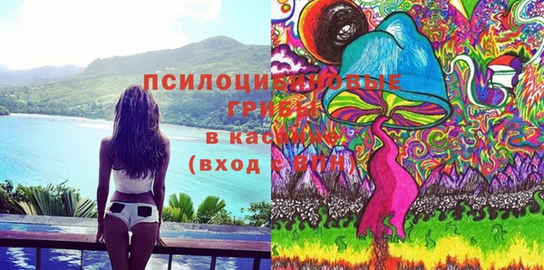 крисы Ижевск