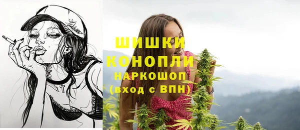 гашик Дмитриев