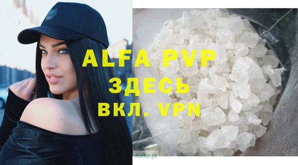 гашик Дмитриев